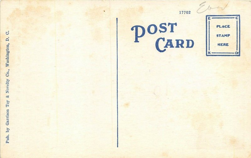 Washington DC 1920s Postcard New Masonic Temple