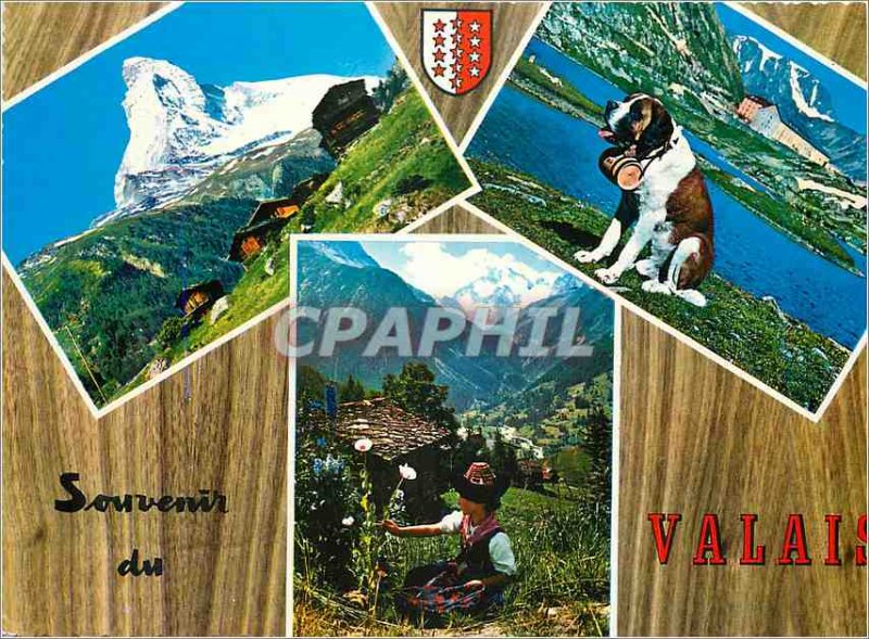 'Modern Postcard The Matterhorn (4476 m) Grand St Bernard dog Vallee d''Arolla'