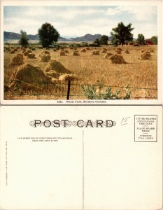 Wheat Field, Colo. (17817