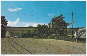 Cars partly out of sight,  down Magnetic Hill,  N.B.,  Canada,  PU_40-60s