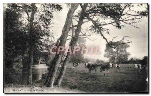 Old Postcard Bernay In the Prairie Berger Cows