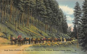 Pack Train Horses Mules Coeur d'Alene Nat'l Forest Idaho c1940s Vintage Postcard