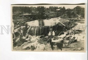 485431 SWEDEN Rattvik local girl with a goat Vintage photo postcard