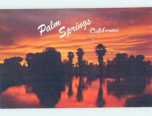 Pre-1980 SUNSET SILHOUETTE Palm Springs - Near Anaheim & Los Angeles CA AD5816