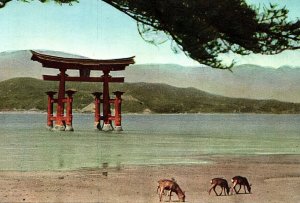 1920s JAPAN  GREAT TORII AT MIYAJIMA POSTCARD P1448