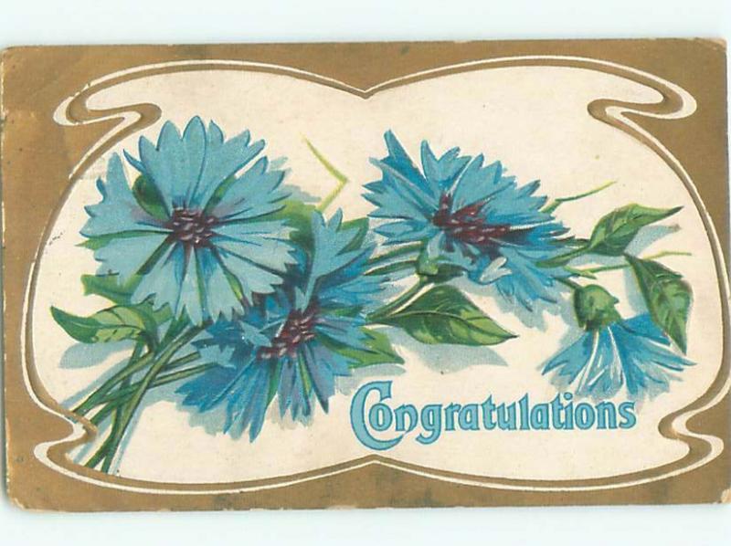 Divided-Back BEAUTIFUL FLOWERS SCENE Great Postcard AA2880