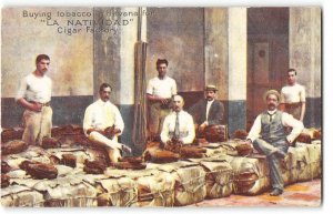 Buying Tobacco, Havana, Cuba LA NATIVIDAD Cigar Factory 1910s Vintage Postcard