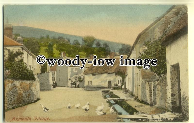 tp0552 - Devon - Early View of Geese in the Lane of Axmouth Village - postcard