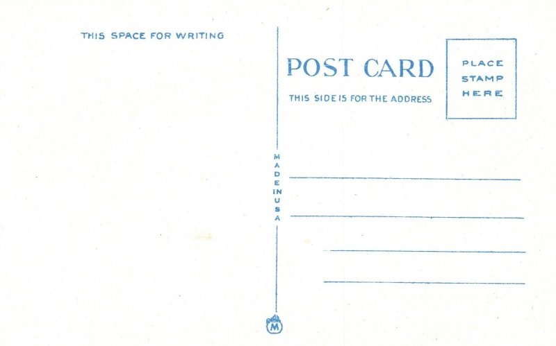 Vintage Postcard Terrapin Point From Canada Niagara Falls Canada