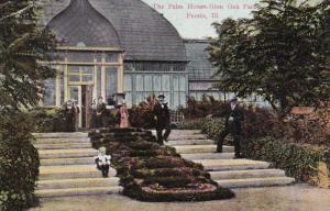 Illinois Peoria The Palm House In Glen Oak Park 1909