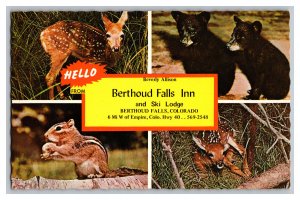 Postcard CO Berthoud Falls Inn Ski Lodge Berthoud Falls Standard View Card 