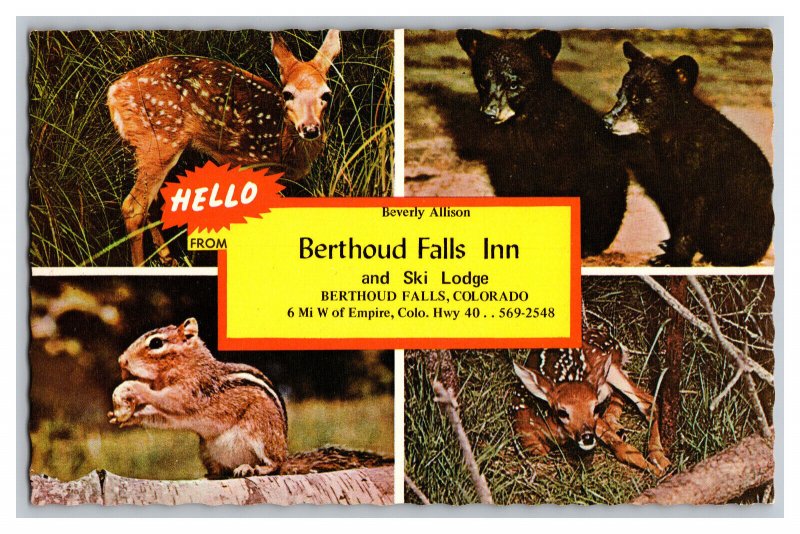 Postcard CO Berthoud Falls Inn Ski Lodge Berthoud Falls Standard View Card 