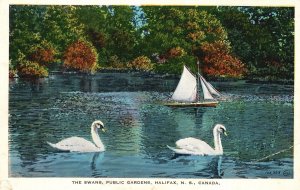 Vintage Postcard The Swans Public Gardens Halifax Nova Scotia Canada Valentine