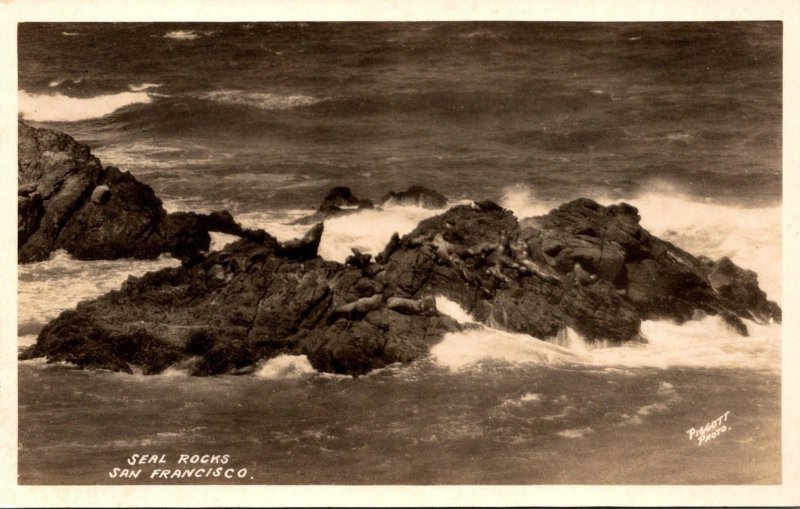 California San Francisco Seal Rocks Real Photo