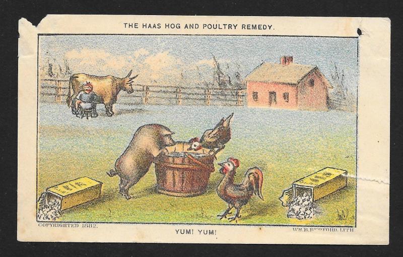 VICTORIAN TRADE CARD Dr Haas Hog & Poultry Remedy 'Yum Yum' Pig 2 Chickens c1882