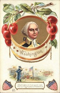 George Washington Patriotic Cherries Cannon Embossed Nash 1900s-20s Vintage PC