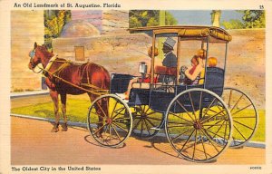 Oldest City in the World Horse and Buggy - St Augustine, Florida FL  