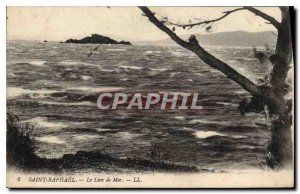 Postcard Old Saint Raphael the Sea Lion