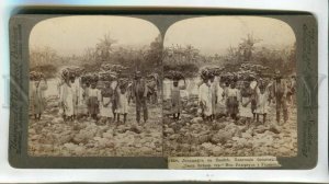 3184099 Jamaica Carrying Bananas to Market Vintage STEREO PHOTO