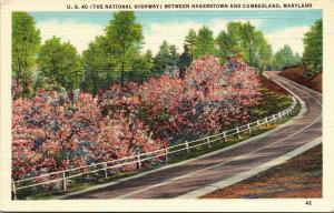 U.S. 40, National Highway, Hagerstown Cumberland Maryland Vintage Postcard I18