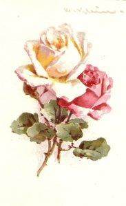 Beautiful roses, by Caytherine Klein Old vintage  postcard