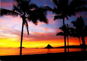 Hawaii Oahu Chinaman's Hat Beautiful Sunset