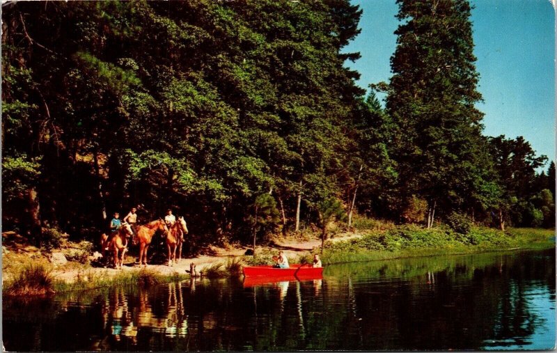 Forest Lake Resort Cobb Lake County California CA Canoeing Horseback Postcard  