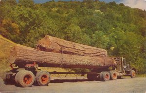 Truck Load of Two Logs - Northwest USA - Timber Industry of Oregon or Washington
