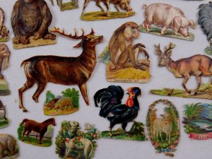 Lot 27 of Embossed Victorian Die-Cut Animals Polar Bear Pig Walrus Monkey CD68