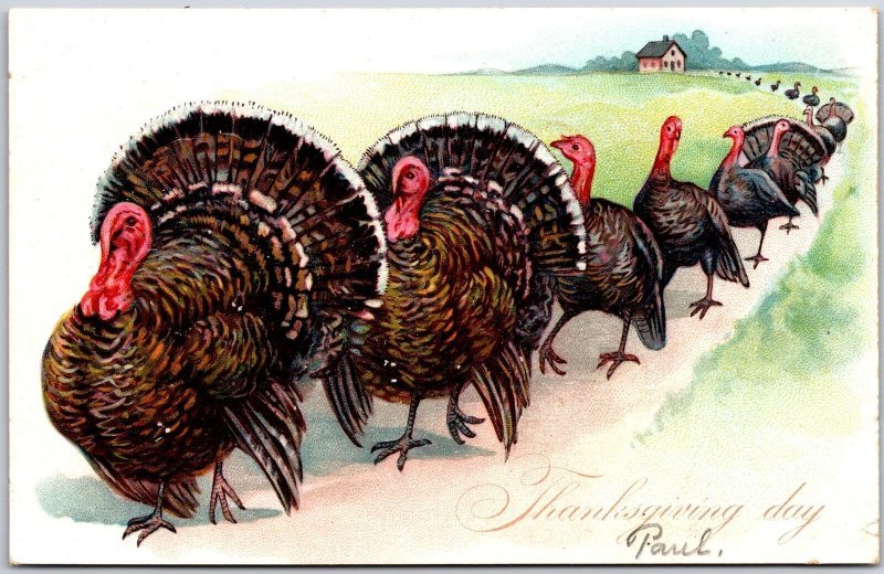 Thanksgiving Day Turkeys On Parade Greetings Wishes Card Postcard