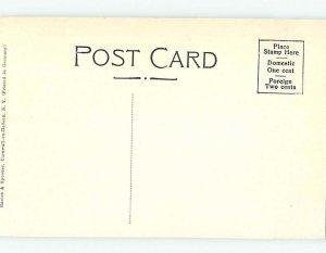 Divided-back ALLIGATOR ROCK Catskill Mountains - Kingston Poughkeepsie NY AD4946