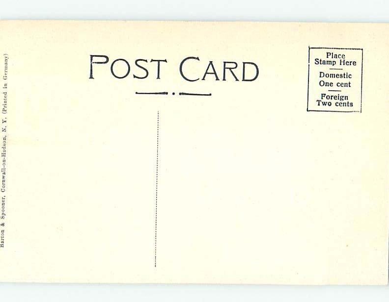 Divided-back ALLIGATOR ROCK Catskill Mountains - Kingston Poughkeepsie NY AD4946