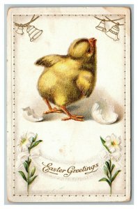 Vintage 1910's Easter Postcard Cute Chick Hatches White Flower Gold Bells