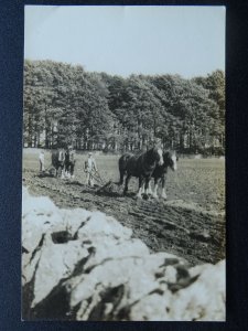 Country Life FARMING SCENE 2 Teams of Shire Horse Plough Field - Old RP Postcard