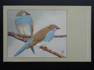 Bird Theme CORDON BLEU c1950s Postcard by P. Sluis / Series 2 No.14