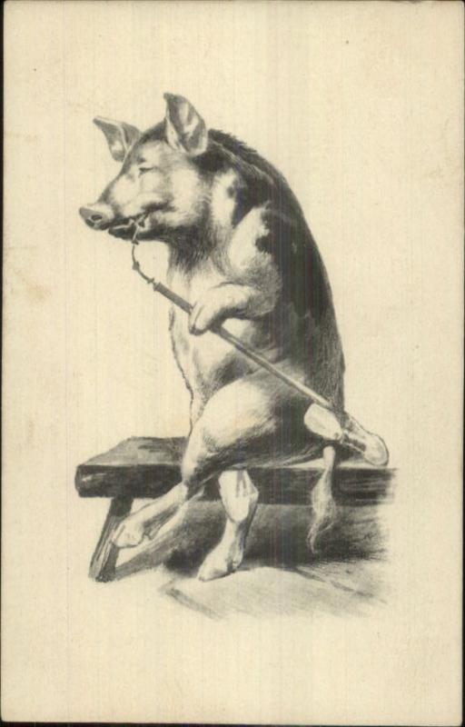 Pig Fantasy - Smoking Long Fancy Pipe c1900 Postcard