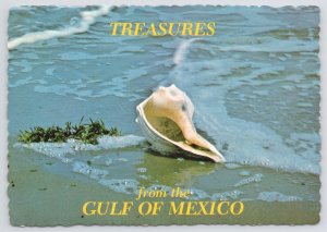Southern Texas~Conch Shell Washed Up on Beach~Continental Postcard 