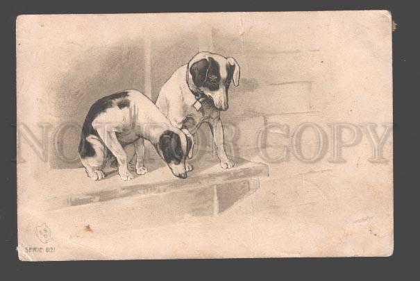 086537 JACK RUSSELL TERRIERS on Window-sill Vintage Embossed