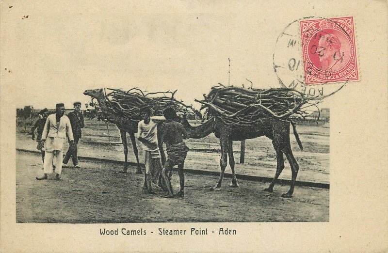 Yemen Aden Steamer Point wood camels colonial occupation postcard