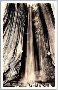 Chattanooga Tennessee 1940s RPPC Real Photo Postcard Ruby Falls Cave