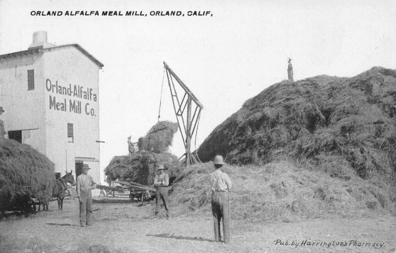 Orland-Alfalfa Meal Mill, California Farming Scene ca 1910s Vintage Postcard