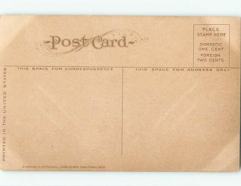 Divided-Back CHICKEN RANCH Petaluma California CA HM6905