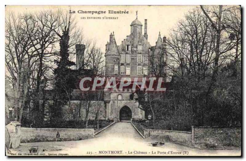 Old Postcard Montmort Chateau La Porte d'Entree