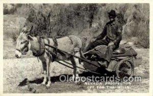 Nevada Prospector off for the hills, Real Photo Unused close to perfect corners