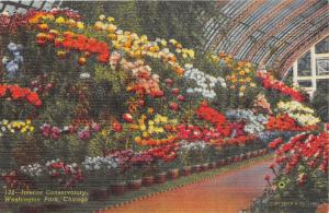 Chicago Illinois~Washington Park Conservatory Interior~Flower Displays~1943 Pc