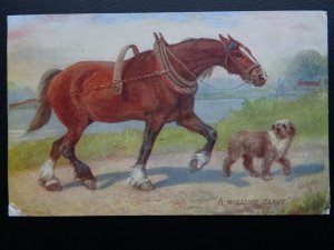 Shire Horse & Dog A WILLING SLAVE - N. Drummond c1936 Postcard by R. Tuck 3052