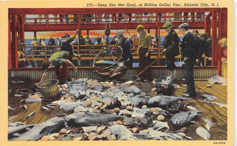 E4/ Atlantic City New Jersey NJ Postcard Linen Deep Sea Net Haul Pier Fishing