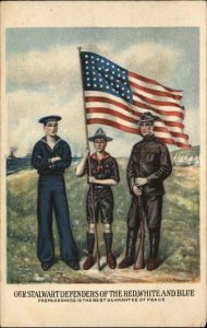 WWI US Patriotic Army Navy Boy Scout American Flag Wallace Robinson Postcard