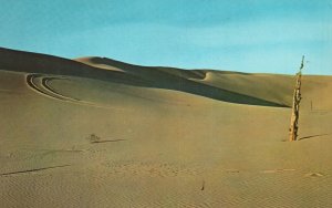Vintage Postcard Changing Sand Dunes Drifting Sand Formation Michigan