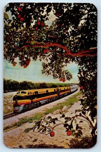The Silver Meteor Seaboard Air Line Railroad's Streamliner Vintage Postcard